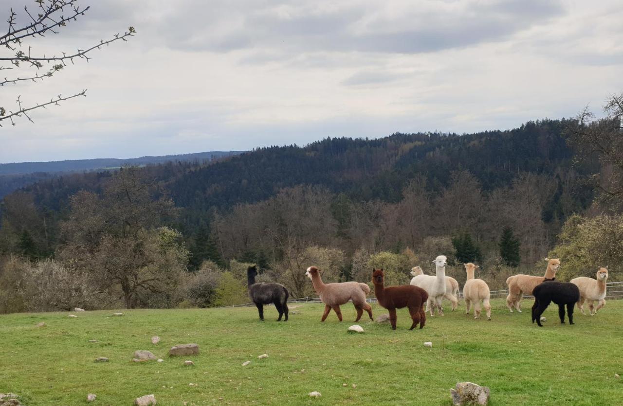 Lana Salta Alpakas - Gemuetliche Ferienwohnungen Auf Dem Bauernhof Murrhardt Dış mekan fotoğraf